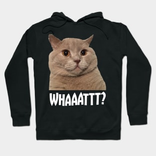 Crazy Cat - Whaaattt? Hoodie